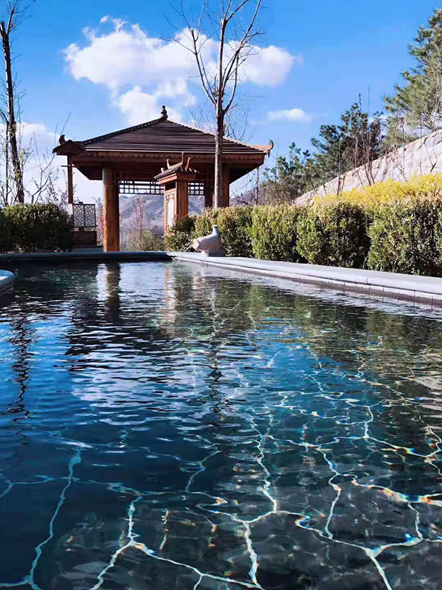 image011.jpg image011.jpg