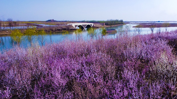 沙湖春景 (3).jpg 沙湖春景 (3).jpg