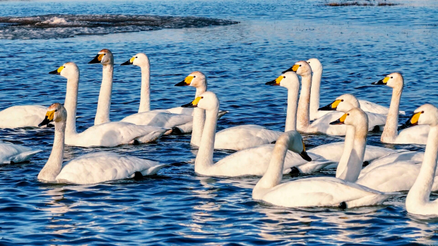 ΢��ͼƬ_2026-04-20_092826_003 (2).jpg